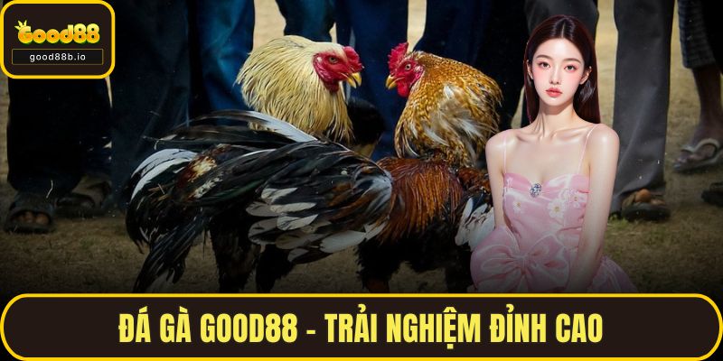 Đá gà GOOD88