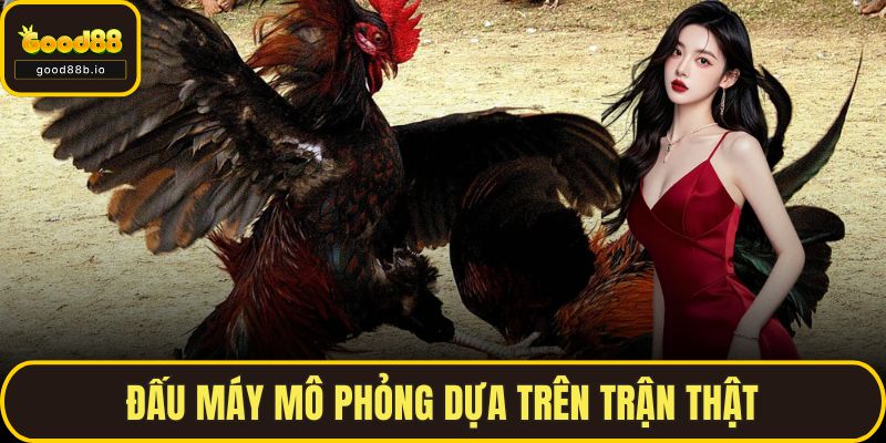 Đá Gà Mỹ GOOD88 – Môn Chơi Tốc Chiến Hấp Dẫn Nhất Hiện Nay Đấu máy mô phỏng dựa trên trận thật