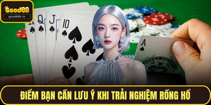 Điểm bạn cần lưu ý khi trải nghiệm rồng hổ
