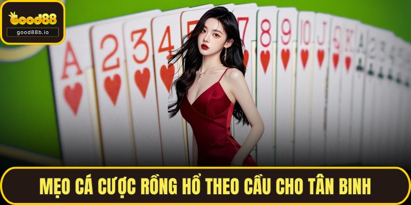 Mẹo cá cược rồng hổ theo cầu cho tân binh