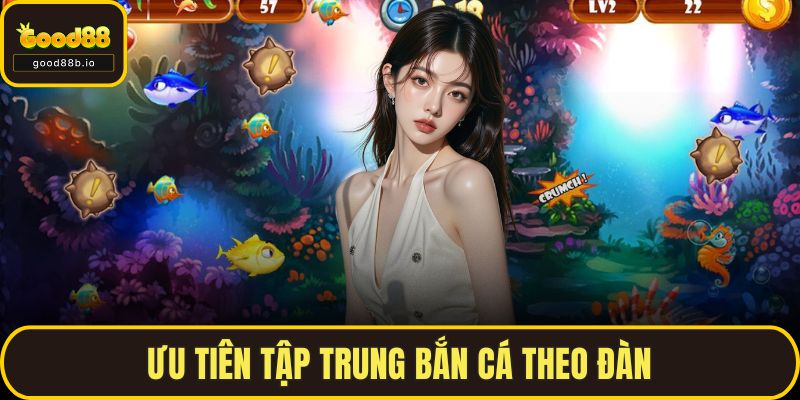 Ưu tiên tập trung bắn cá theo đàn